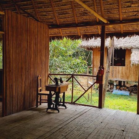 Castana Amazon Park Hostel Пуерто Малдонадо Екстериор снимка