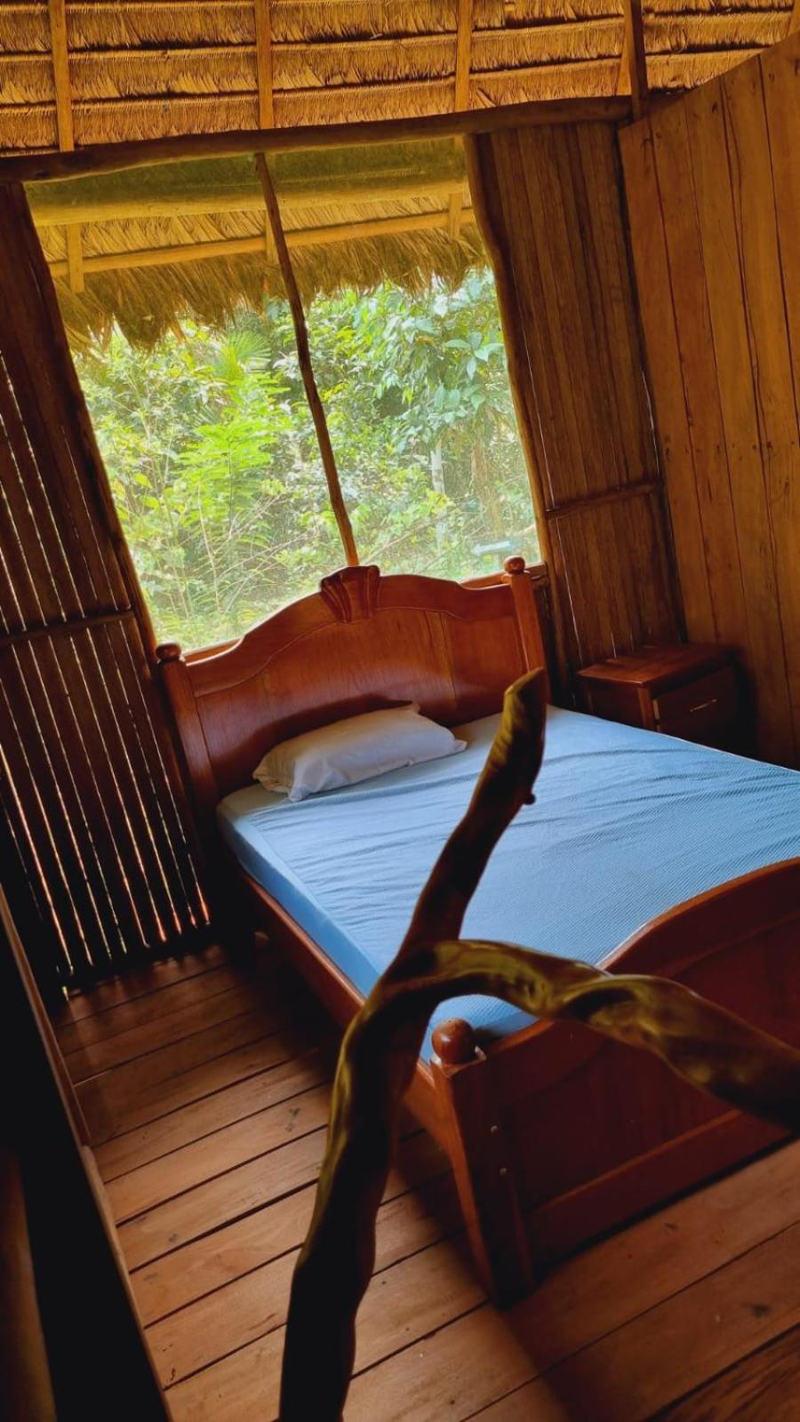 Castana Amazon Park Hostel Пуерто Малдонадо Екстериор снимка
