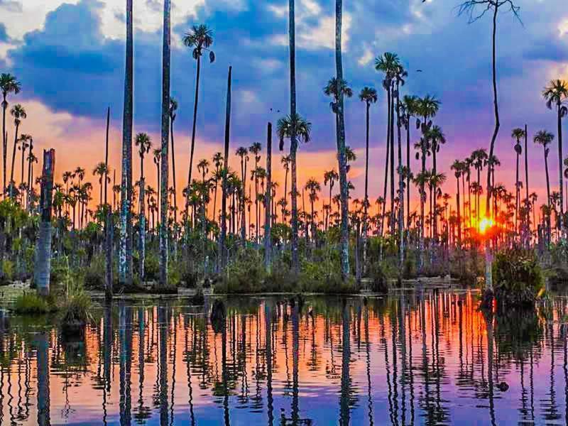 Castana Amazon Park Hostel Пуерто Малдонадо Екстериор снимка