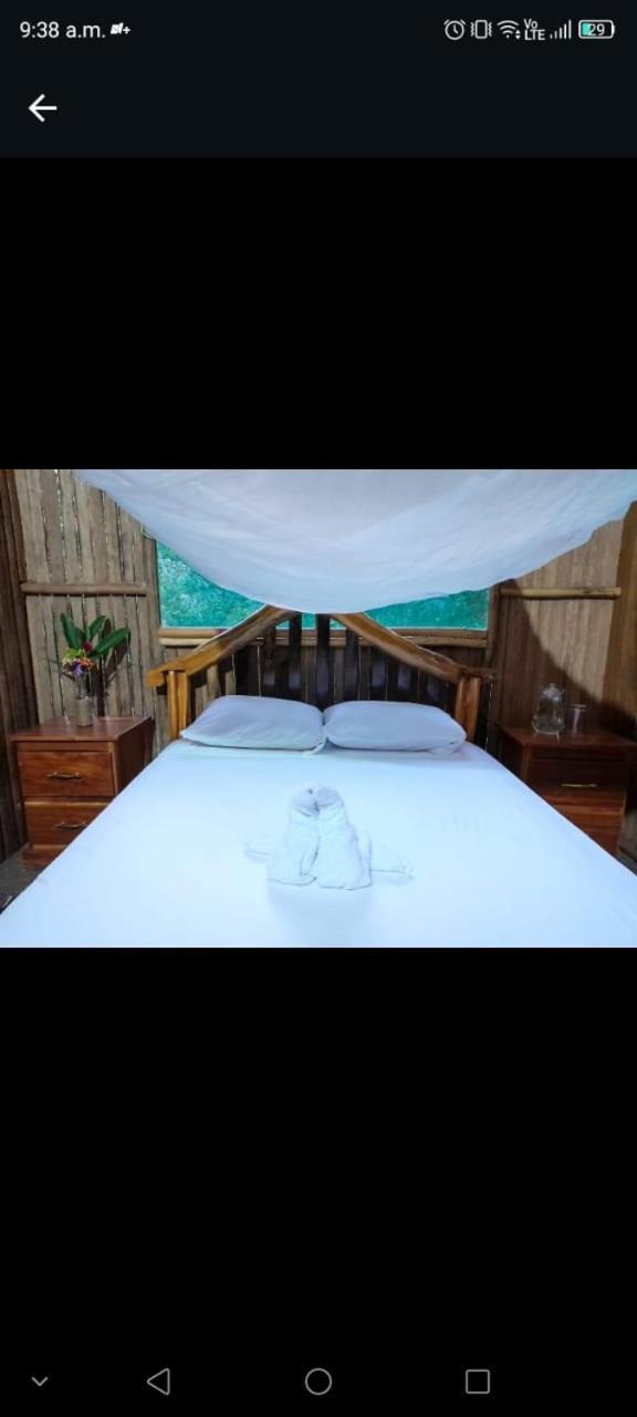 Castana Amazon Park Hostel Пуерто Малдонадо Екстериор снимка