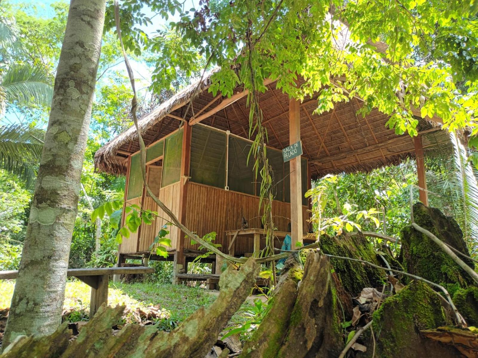 Castana Amazon Park Hostel Пуерто Малдонадо Екстериор снимка