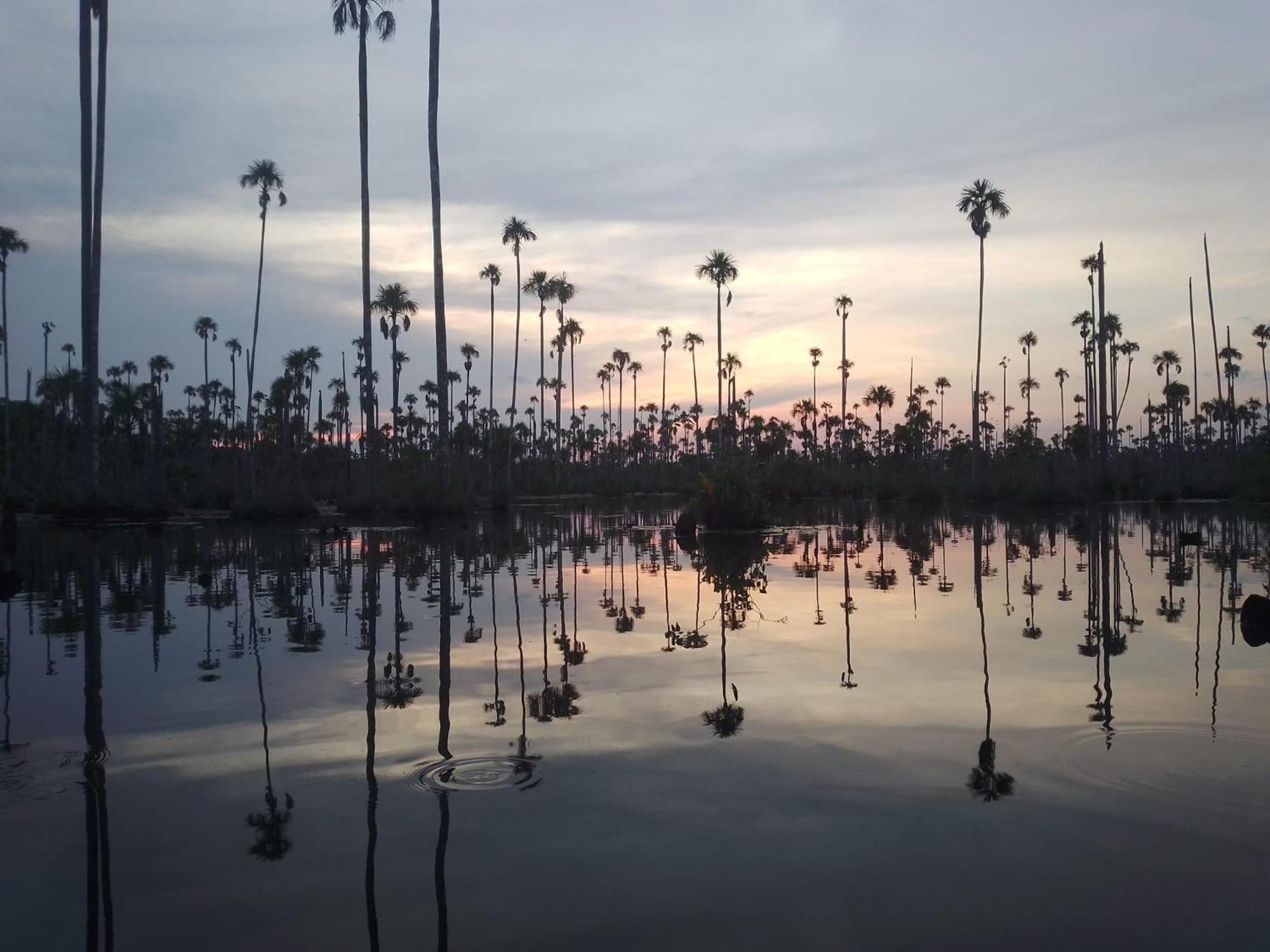 Castana Amazon Park Hostel Пуерто Малдонадо Екстериор снимка