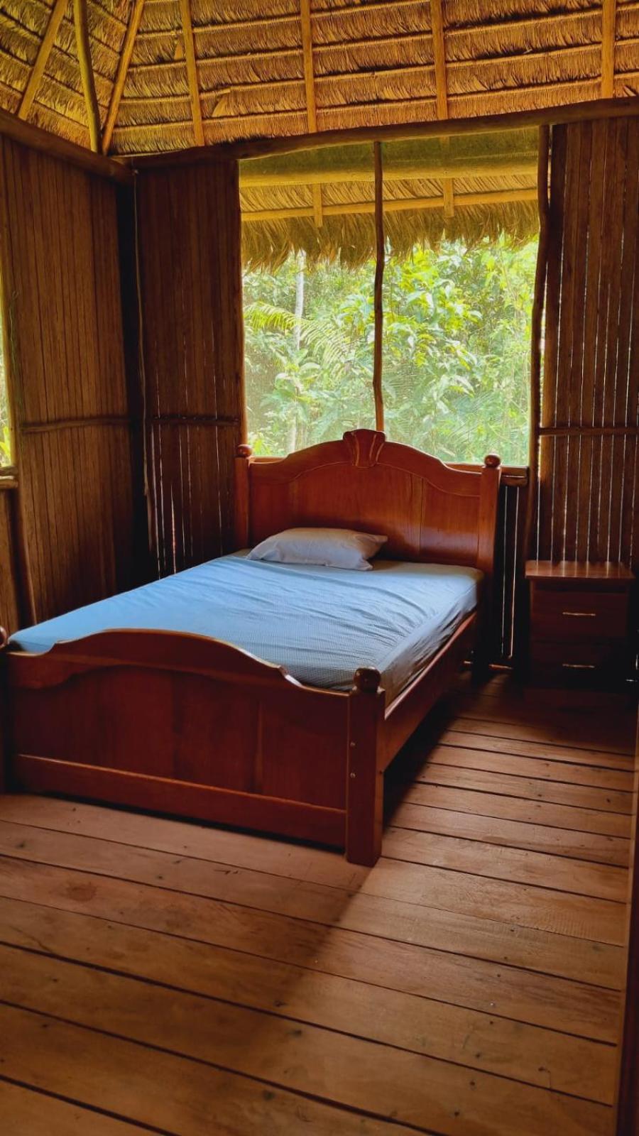 Castana Amazon Park Hostel Пуерто Малдонадо Екстериор снимка