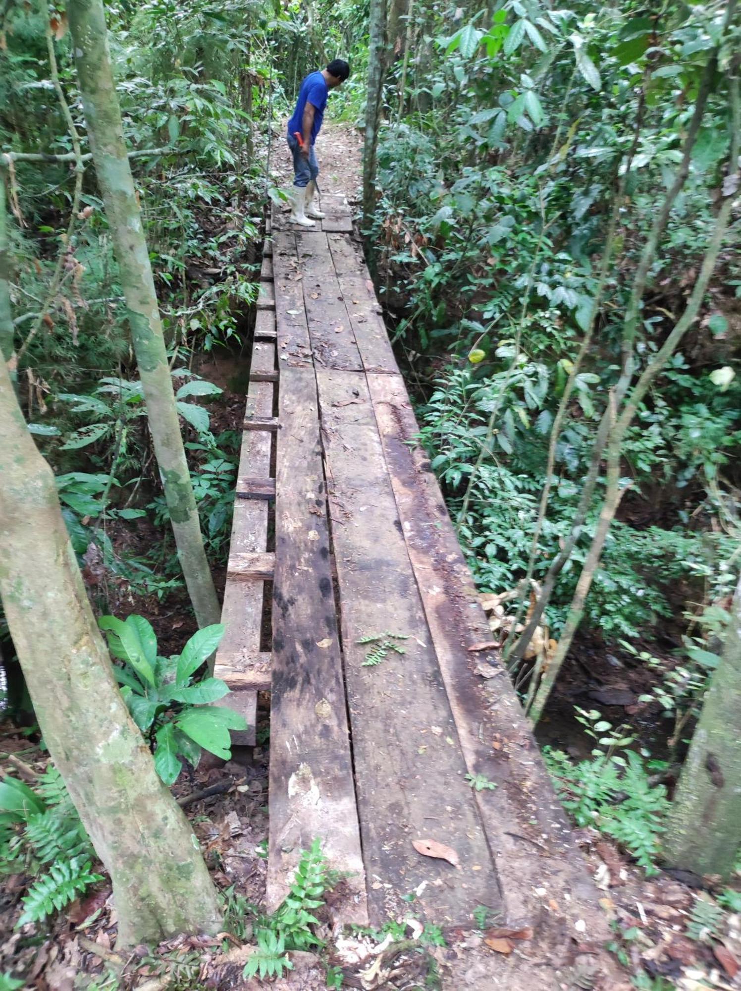 Castana Amazon Park Hostel Пуерто Малдонадо Екстериор снимка