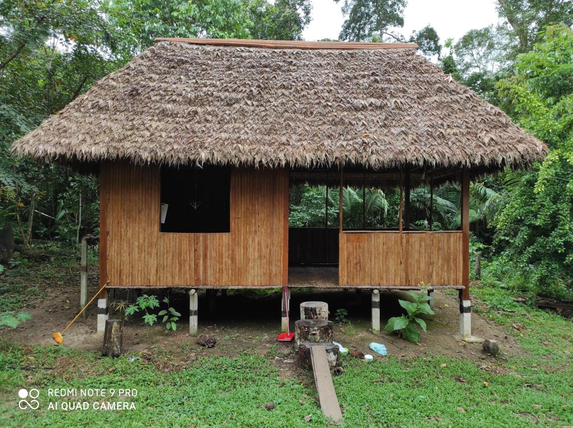 Castana Amazon Park Hostel Пуерто Малдонадо Екстериор снимка