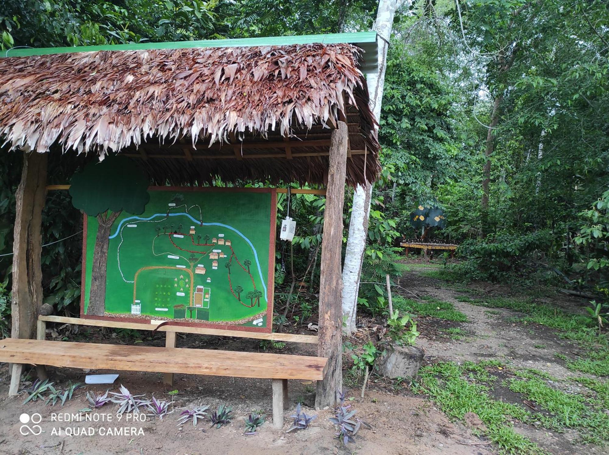 Castana Amazon Park Hostel Пуерто Малдонадо Екстериор снимка